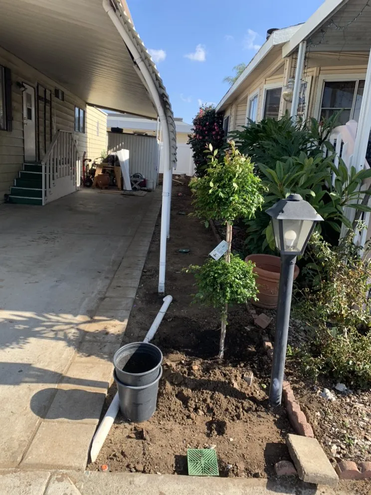 Trusted landscaping services in Vista, CA - Agustin Landscaping