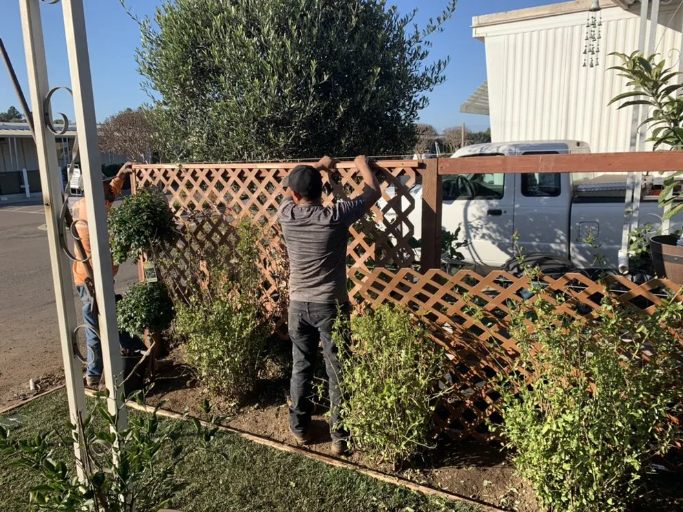 Reliable landscaping services experts serving Vista, CA - Agustin Landscaping