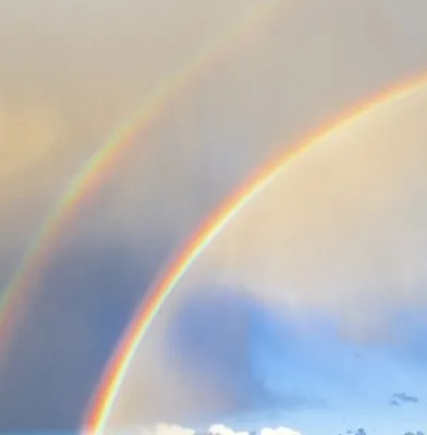 Agustin Landscaping Logo