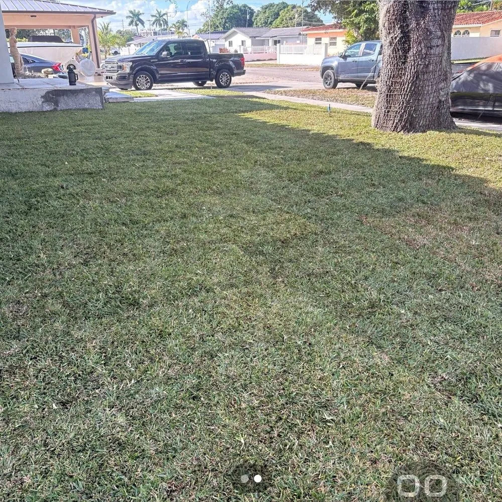 Local landscape design for beautiful yards in Miami, FL by Agustin Landscaping Servicio