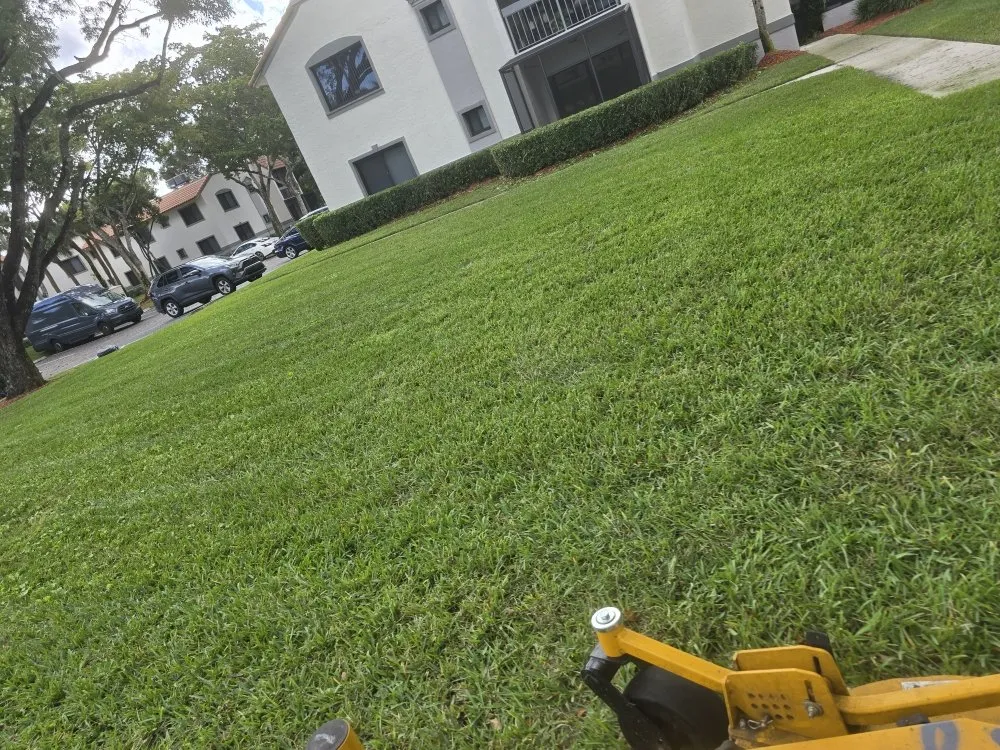 Professional yard maintenance with custom design in Miami, FL by Agustin Landscaping Servicio