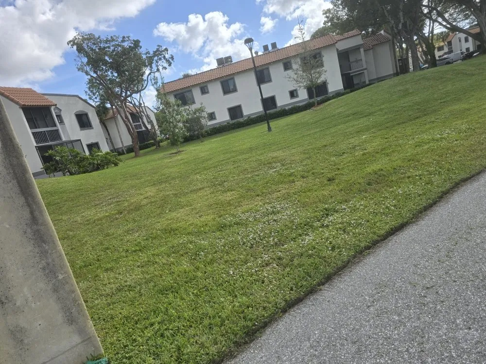 Custom lawn care service in Miami, FL by Agustin Landscaping Servicio