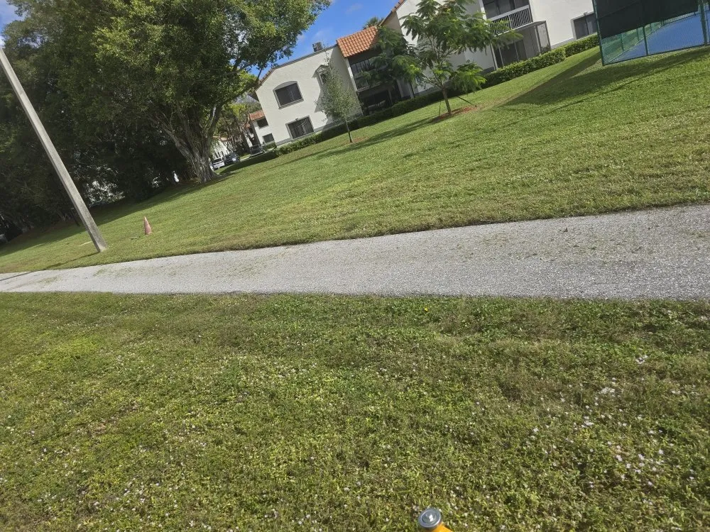 Custom lawn care service in Miami, FL - Agustin Landscaping Servicio