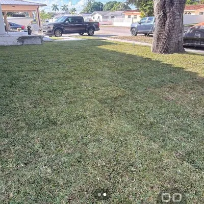 Agustin Landscaping Servicio Logo