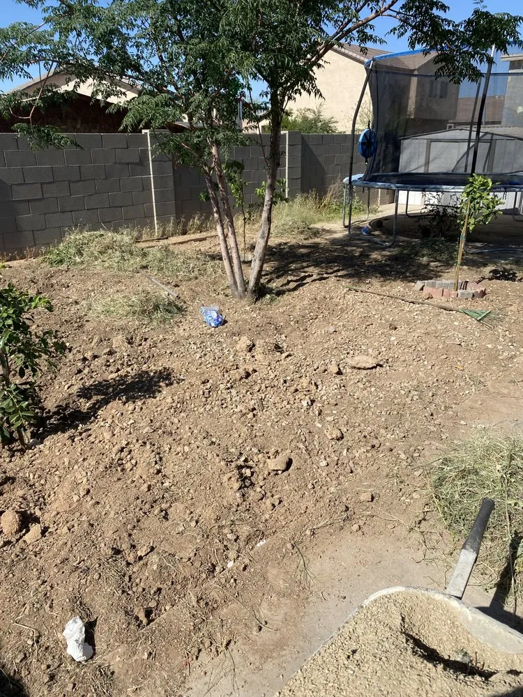 Affordable yard maintenance in Glendale, AZ by Agustín Flores