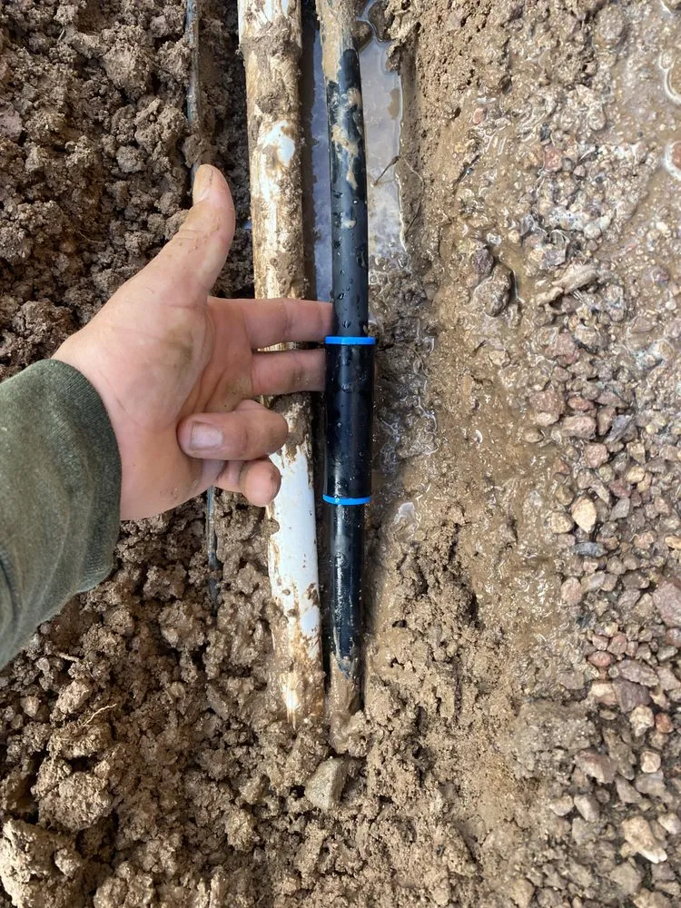 Affordable residential landscaping experts serving Glendale, AZ - Agustín Flores