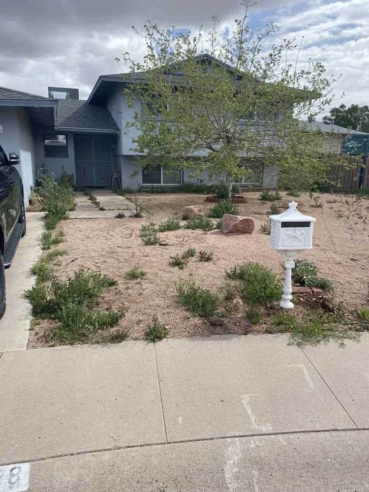 Professional yard maintenance with custom design in Glendale, AZ by Agustín Flores