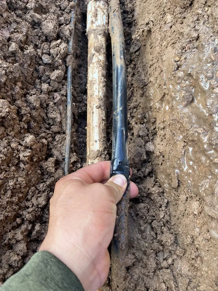 Expert lawn care service with custom design in Glendale, AZ by Agustín Flores