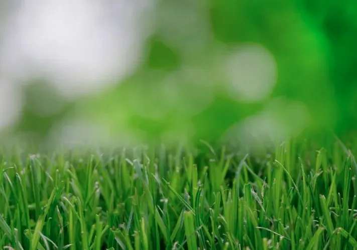 Reliable landscaping services in Boardman, OH - AGuy Lawn Care