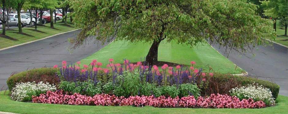 Expert lawn care service for residential properties across Des Plaines, IL - AGW Property Services