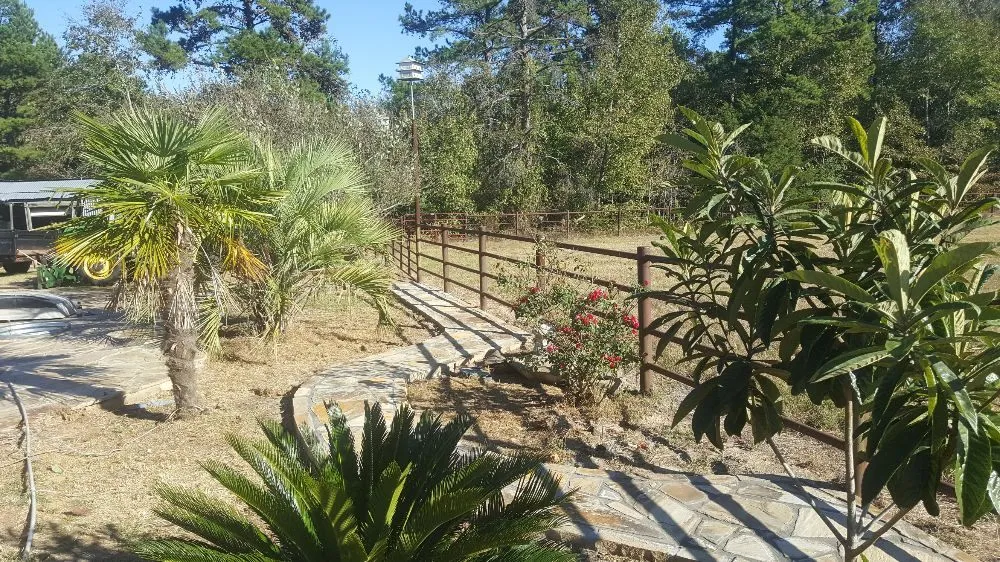 Custom landscape design for outdoor upgrades across Tyler, TX - A&H Landscapes