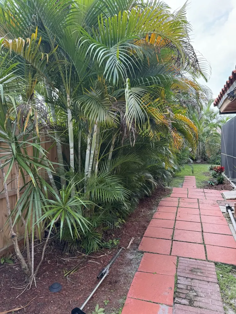 Affordable garden landscaping for year-round maintenance across Lake Worth Beach, FL - A&H Landscaping & Maintenance