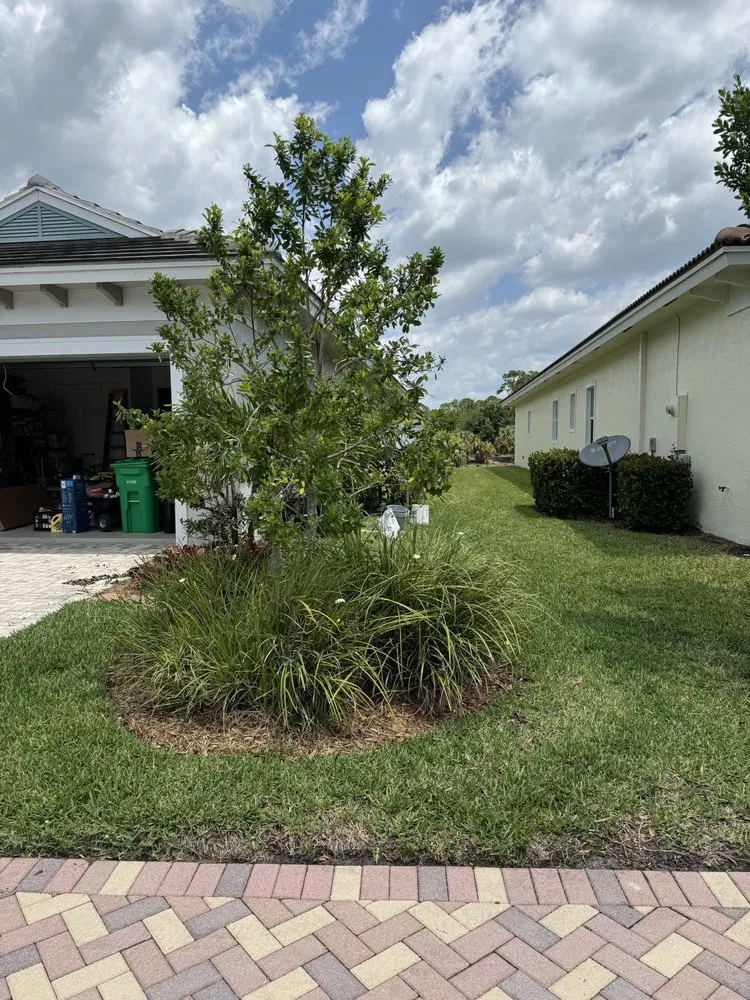 Trusted lawn care service for year-round maintenance across Lake Worth Beach, FL - A&H Landscaping & Maintenance