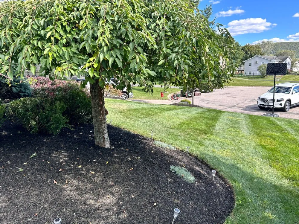 Local residential landscaping for outdoor upgrades in Highland Mills, NY by AH Landscaping