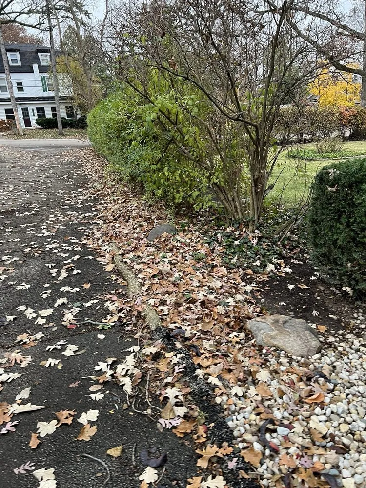 Local landscaping services in Ingleside, IL - AH Landscaping