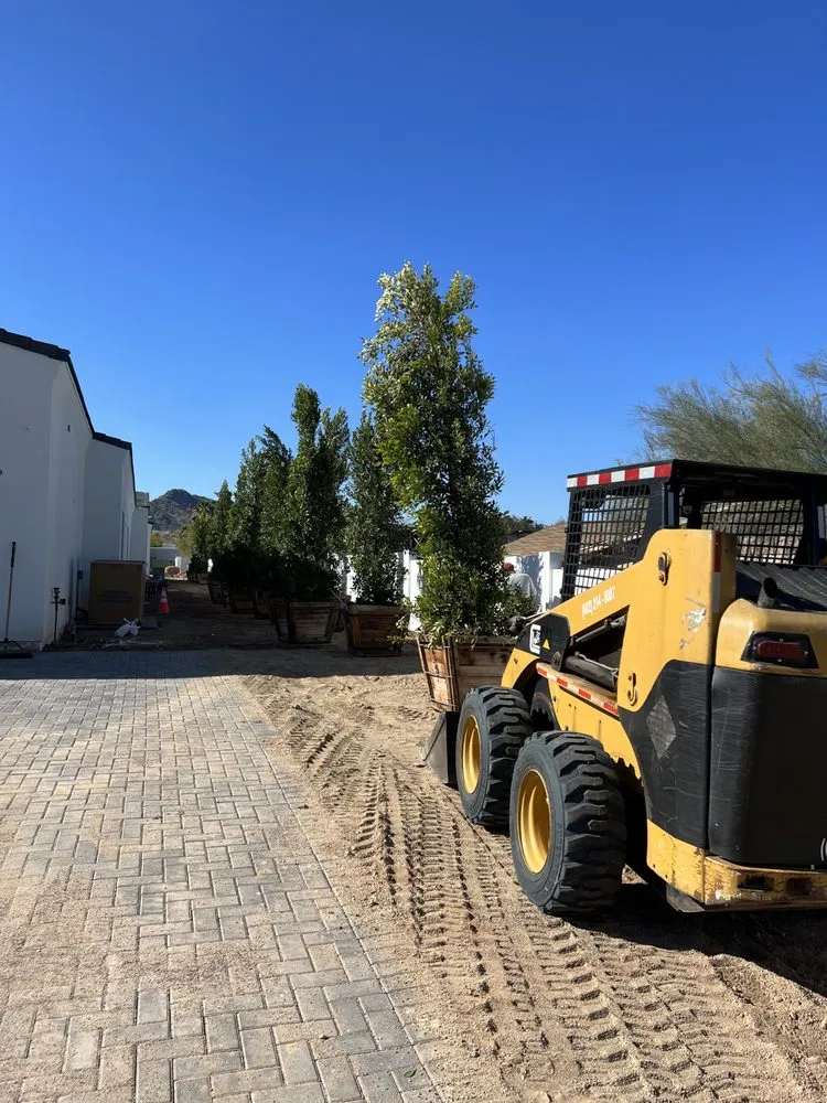 Reliable lawn care service for year-round maintenance in Phoenix, AZ by A.H. Landscaping