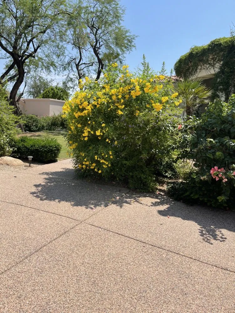 Custom lawn mowing service experts serving Phoenix, AZ - A.H. Landscaping