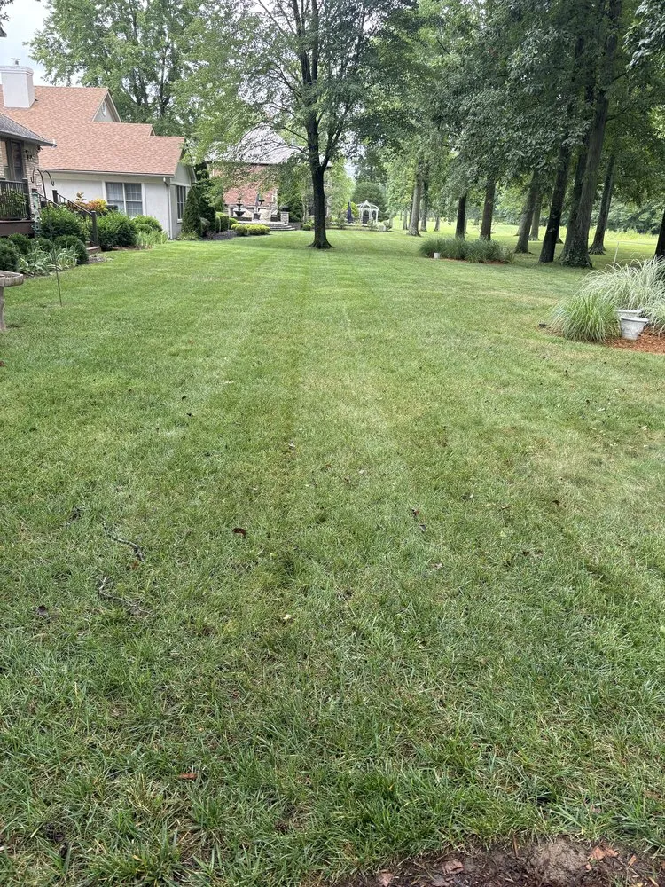 Professional landscape installation in Jeffersonville, IN by AH Lawn And Landscaping