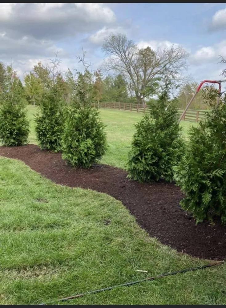 Top-rated yard maintenance in Franklin, TN - A&H Lawn Care And Landscape