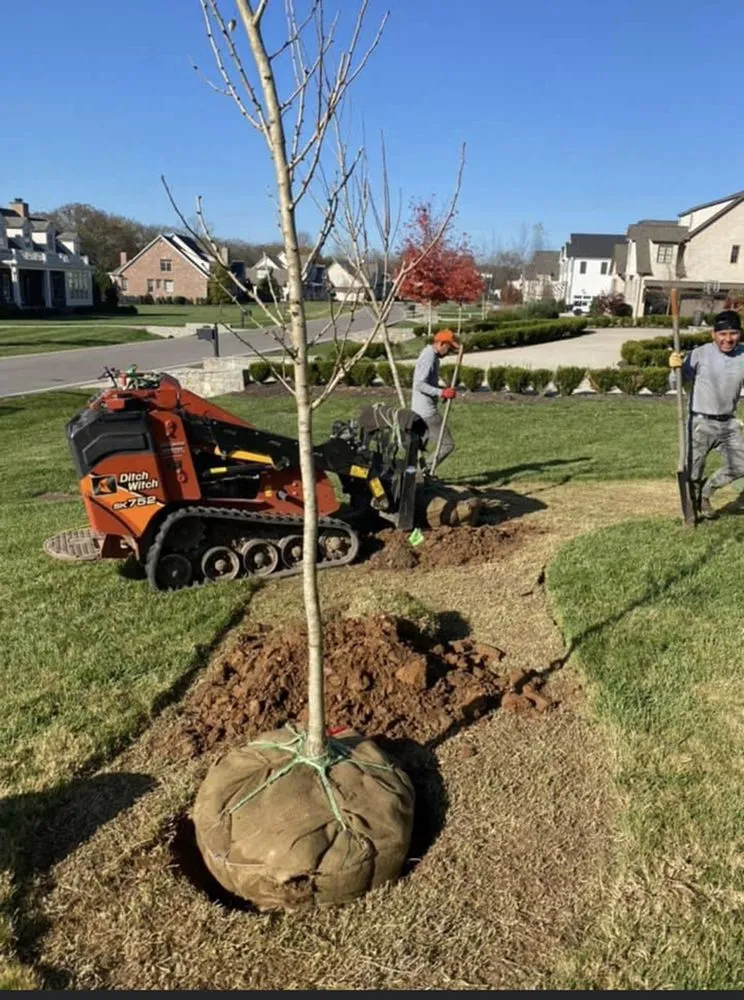 Trusted lawn care service for outdoor upgrades across Franklin, TN - A&H Lawn Care And Landscape