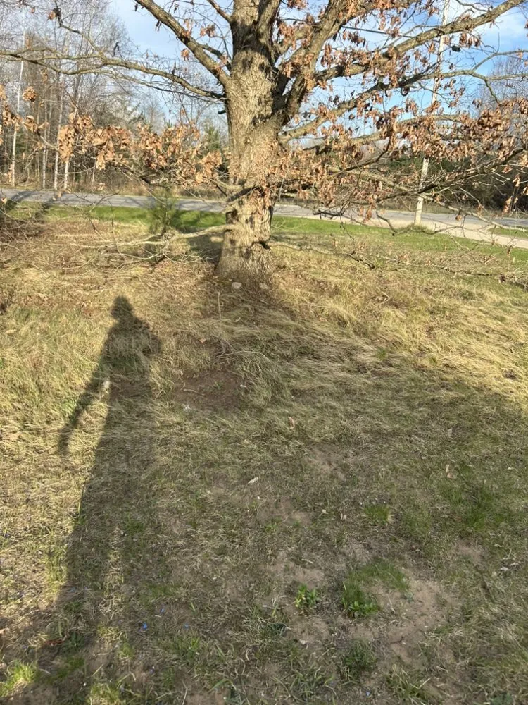 Professional lawn care service near you across Hesperia, MI - A&H Lawn Crew