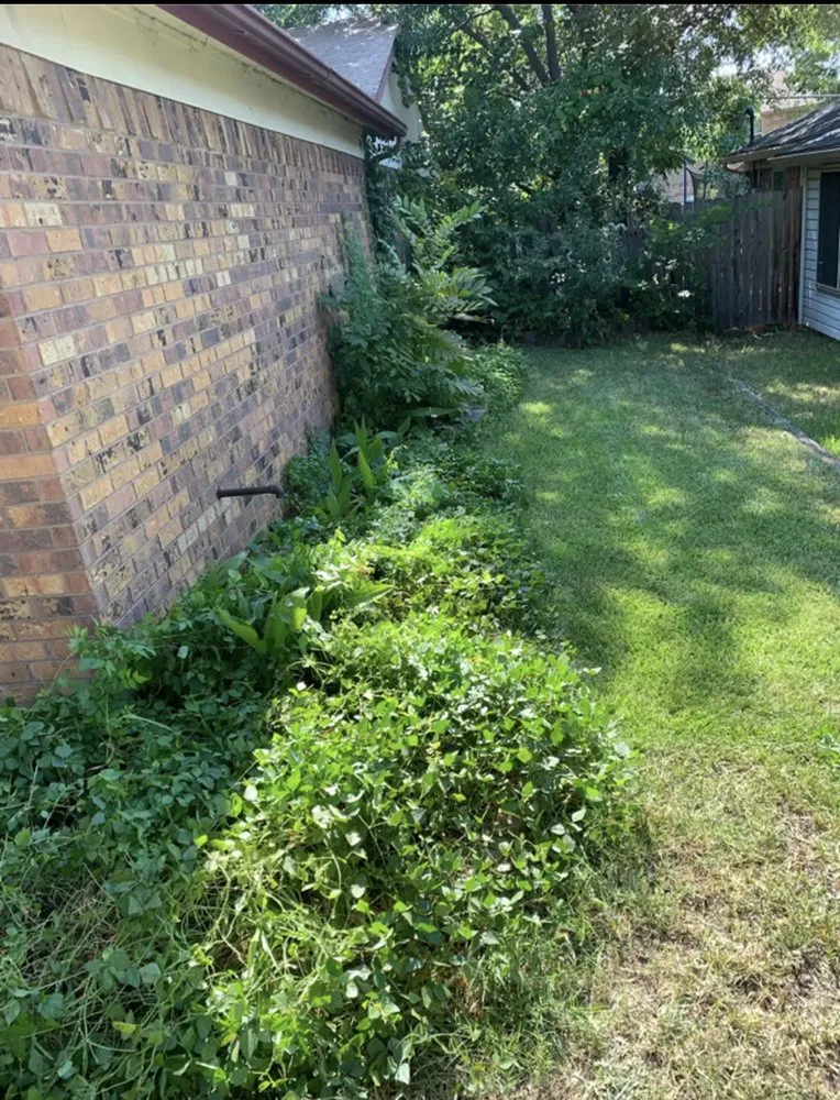 Local yard maintenance experts serving Arlington, TX - A&H Patriot Landscaing