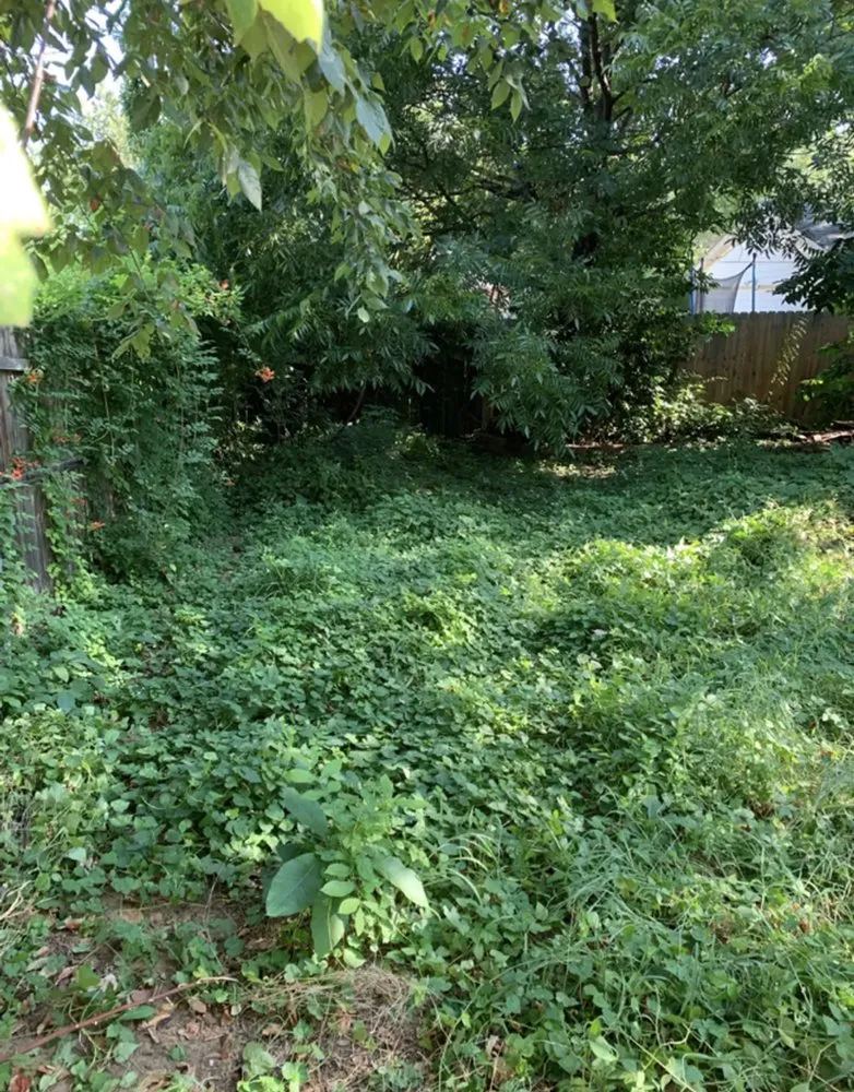 Reliable landscaping services experts serving Arlington, TX - A&H Patriot Landscaing