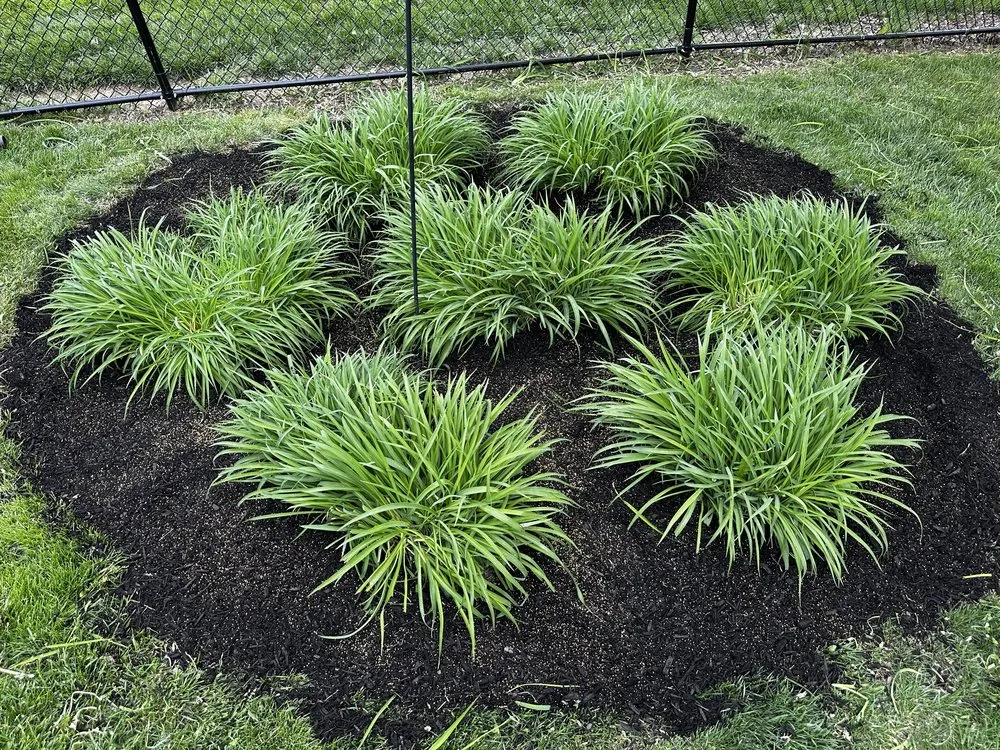 Affordable landscape design experts serving Florence, KY - A&H Property Solutions