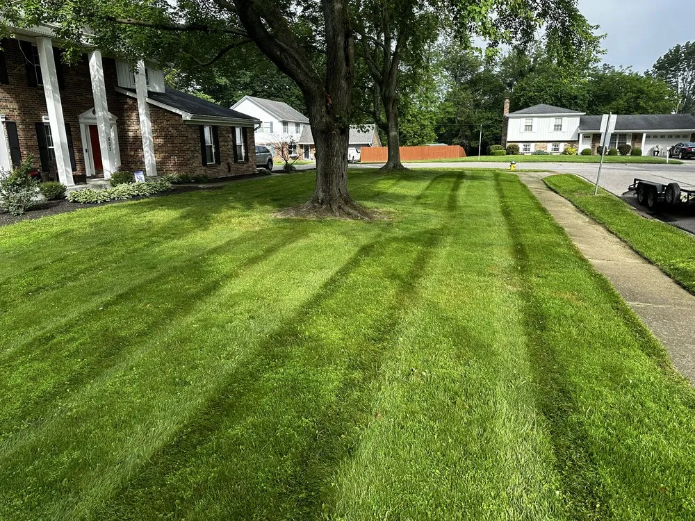 Affordable yard cleanup service with custom design across Florence, KY - A&H Property Solutions