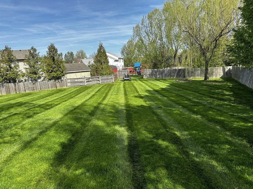 Custom yard cleanup service in Florence, KY by A&H Property Solutions