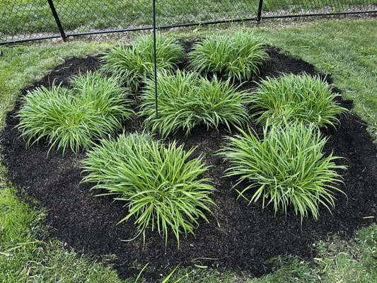 A&H Property Solutions