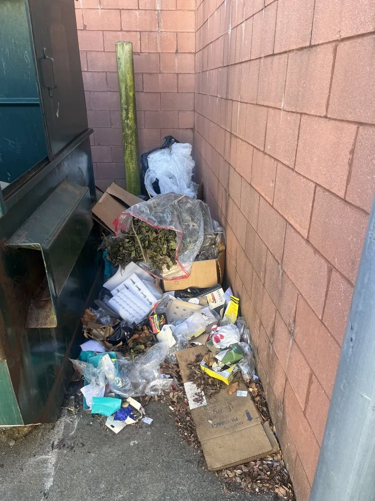 Top-rated landscape installation for homes across Newport News, VA - AHC Services