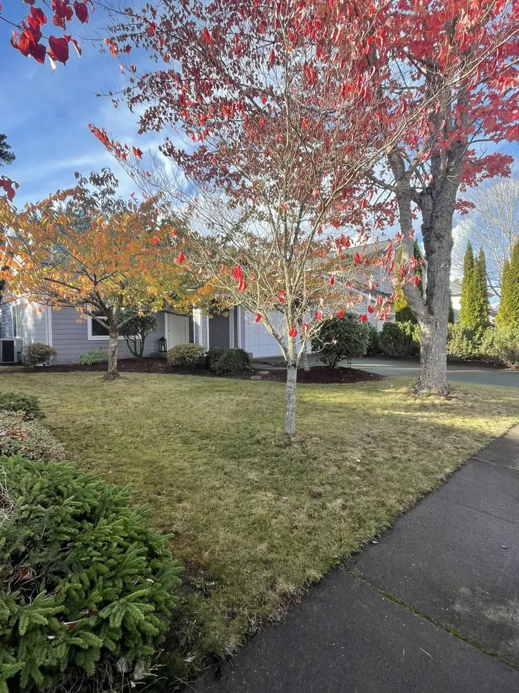 Affordable landscaping services in Shelton, WA - Ahilon Landscaping And Fence Service