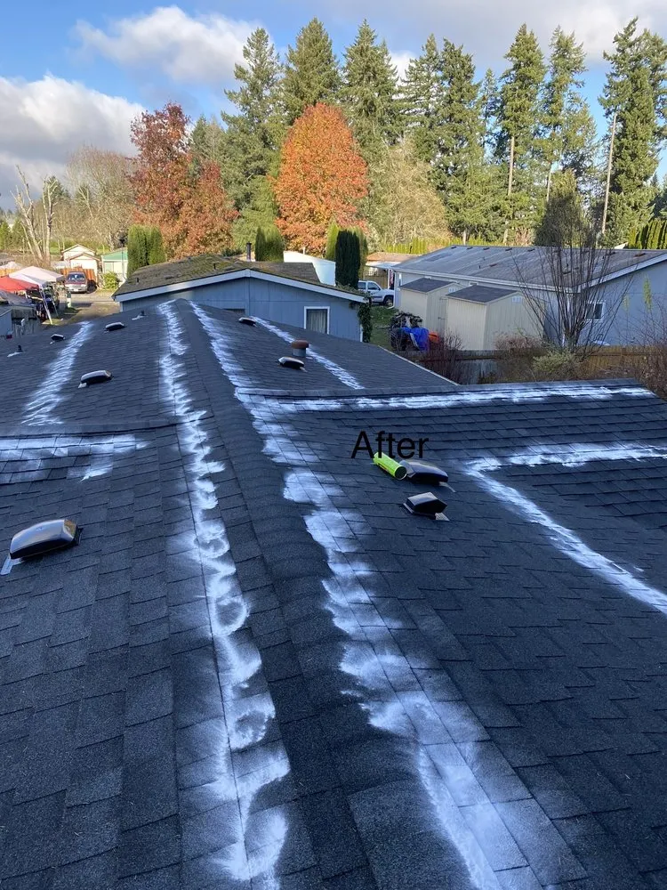 Affordable garden landscaping near you in Shelton, WA by Ahilon Landscaping And Fence Service