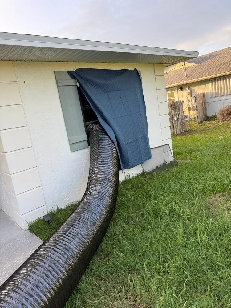 Professional yard cleanup service in Boca Raton, FL by Ahimsa Service