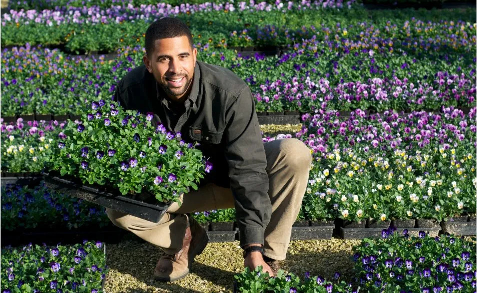 Top-rated garden landscaping experts serving Cameron Park, CA - Ahmad Hassan Landscape Services