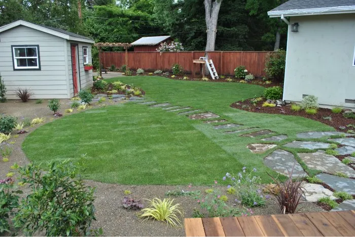 Reliable lawn care service near you across Cameron Park, CA - Ahmad Hassan Landscape Services