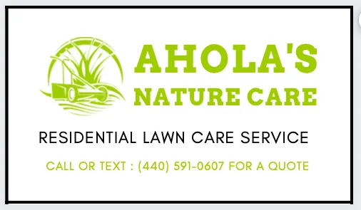 Affordable yard cleanup service in Aurora, OH - Ahola’s Nature Care