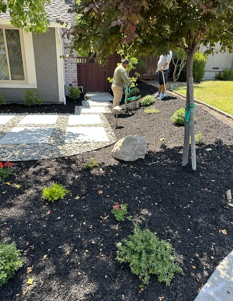 Professional yard cleanup service in Concord, CA - AHS Landscaping