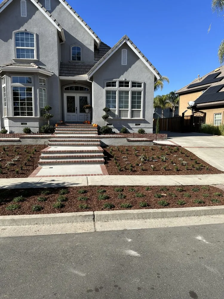 Trusted yard cleanup service in Concord, CA by AHS Landscaping