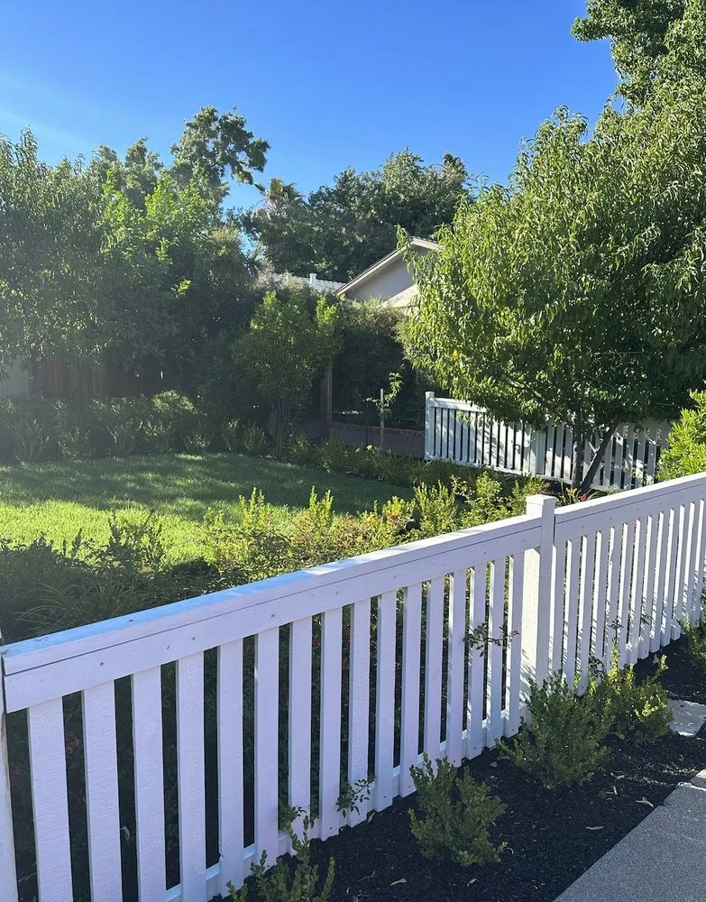 Local landscape design in Concord, CA by AHS Landscaping