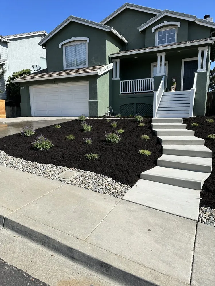 Trusted yard cleanup service experts serving Concord, CA - AHS Landscaping