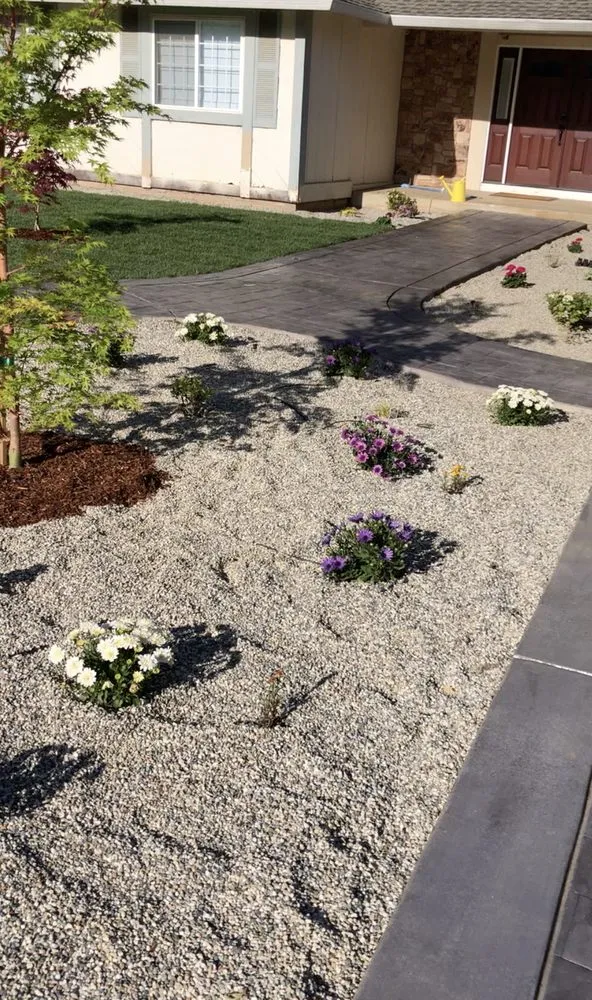 Expert landscape design in Concord, CA - AHS Landscaping