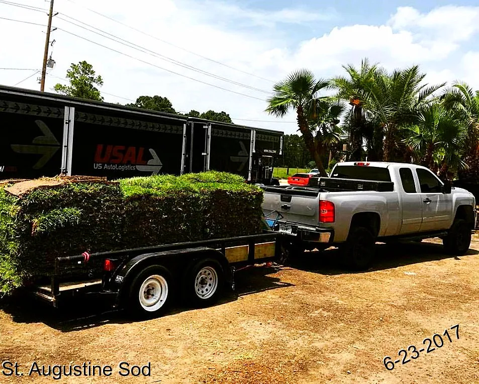 Local yard maintenance near you in Spring, TX by AHS Pro Landscape