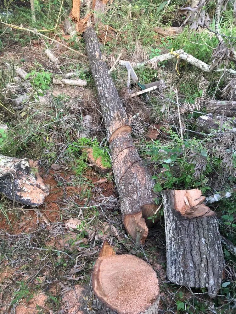 Trusted landscape installation in Spring, TX by AHS Pro Landscape