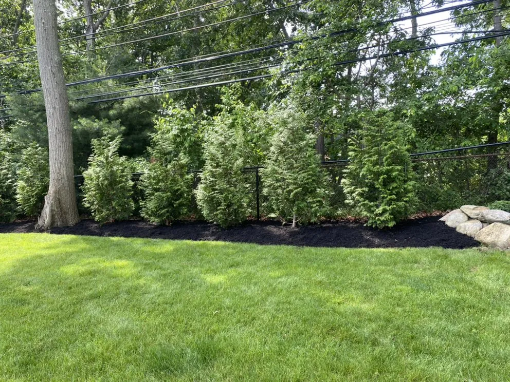 Local yard maintenance with custom design in Commack, NY by AI Landscaping