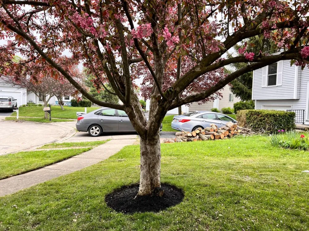 Top-rated yard maintenance in Dublin, OH - A&I Lawn Care And Construction