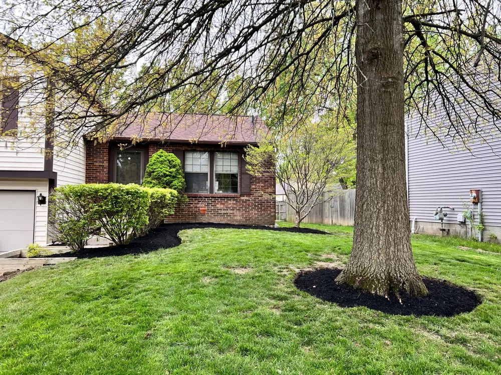 Local landscaping services in Dublin, OH by A&I Lawn Care And Construction