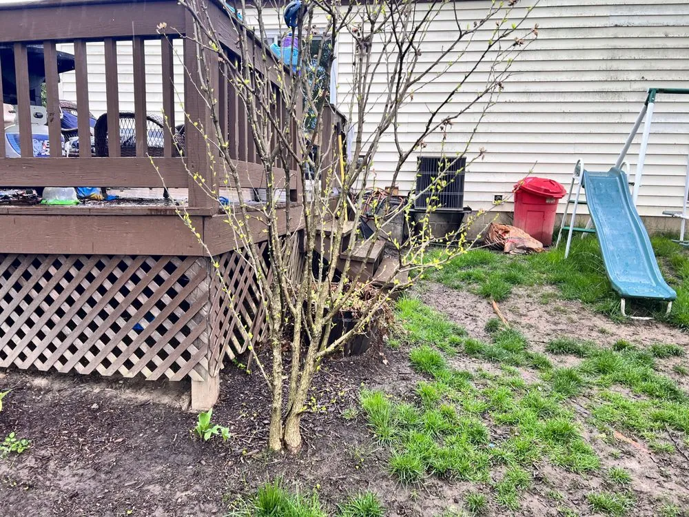 Affordable yard cleanup service in Dublin, OH - A&I Lawn Care And Construction