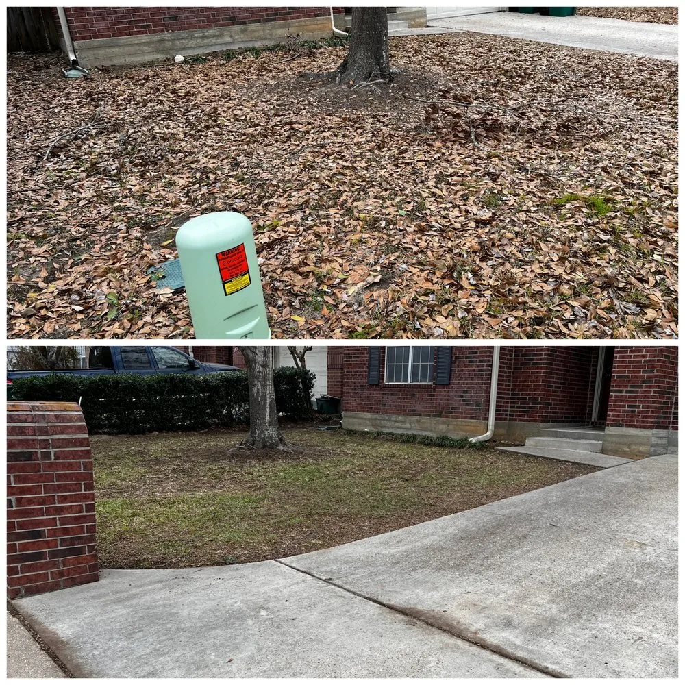 Affordable lawn mowing service experts serving Cut and Shoot, TX - A&I Lawncare